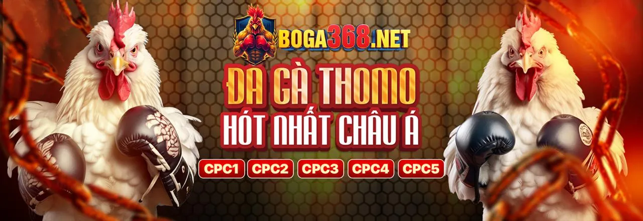 Đá gà trực tuyến i9bet141