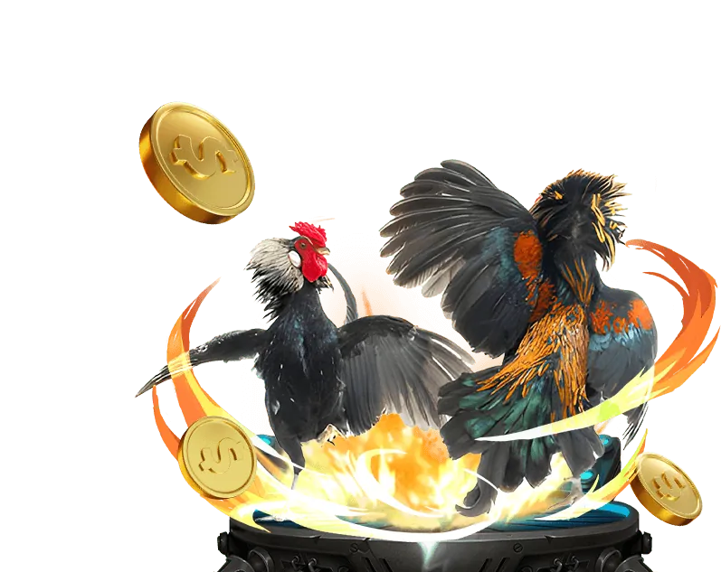 Tổng quan thương hiệu i9bet141